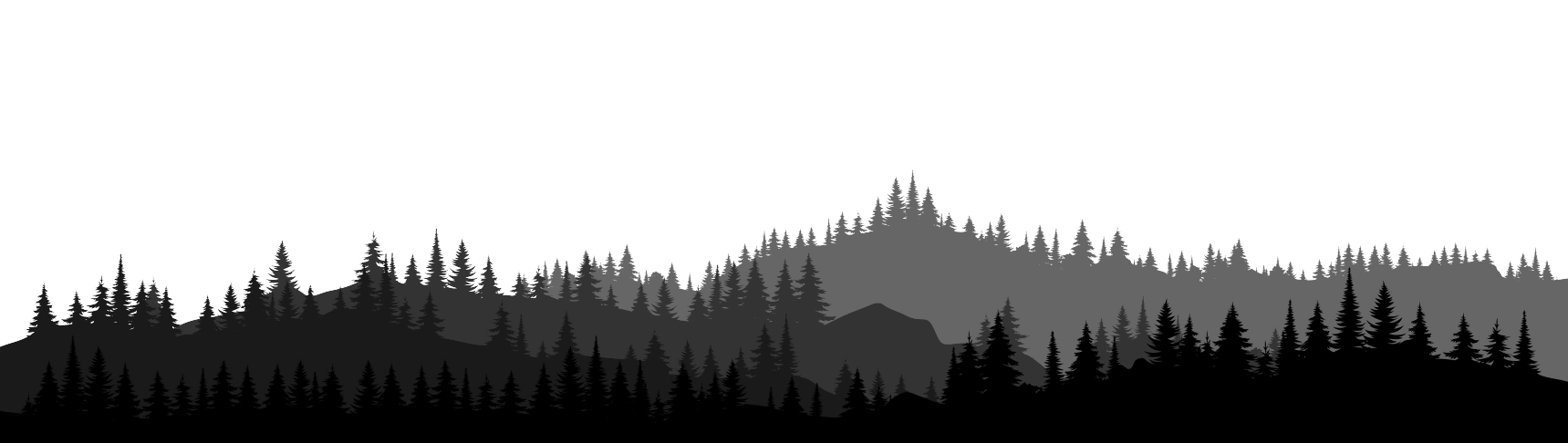 Landscape of a wild forest